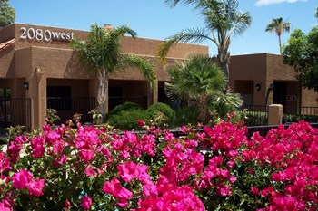 Landscaping at La Lomita Apartments in Tucson Arizona 2 2021